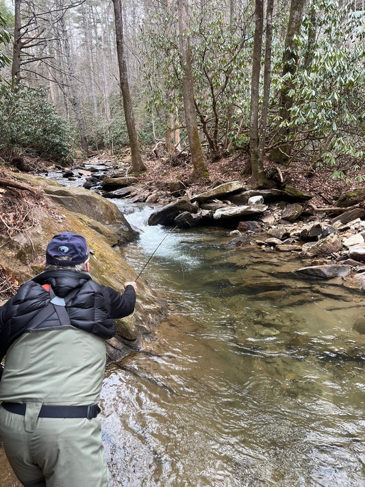 The light from the darkness, the positives of the flood on our trout streams. By: David Bergman