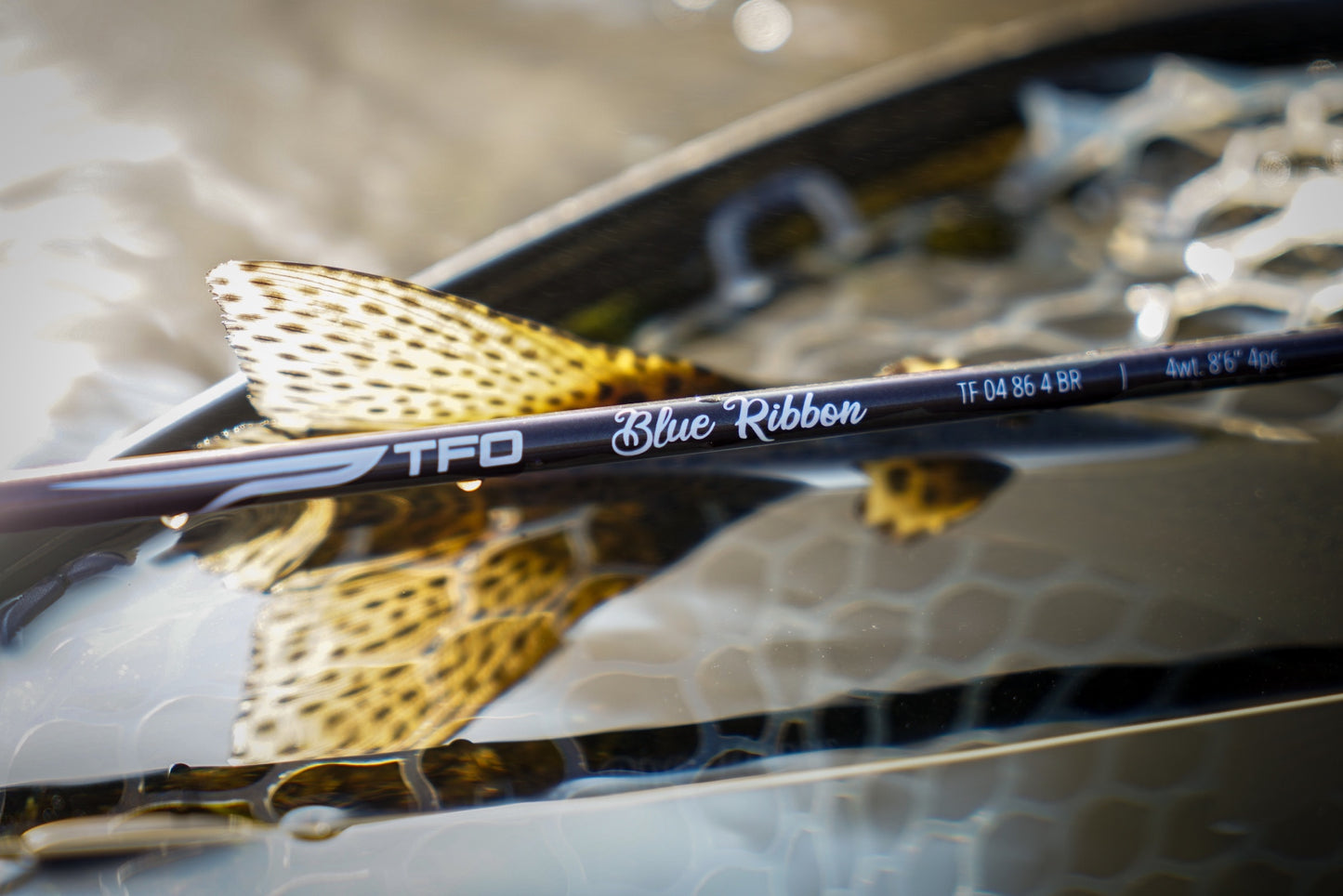 TFO Blue Ribbon