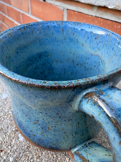 Blue Brook Trout Mug