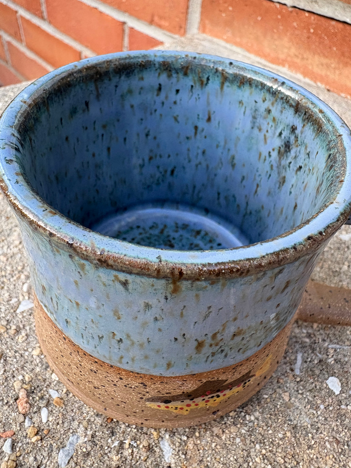 Blue Brown Trout Mug