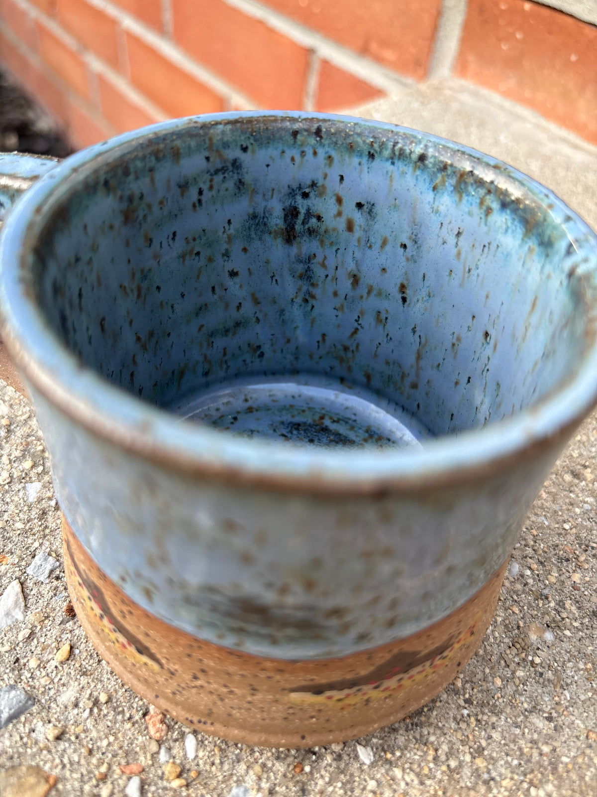 Blue Brown Trout Mug