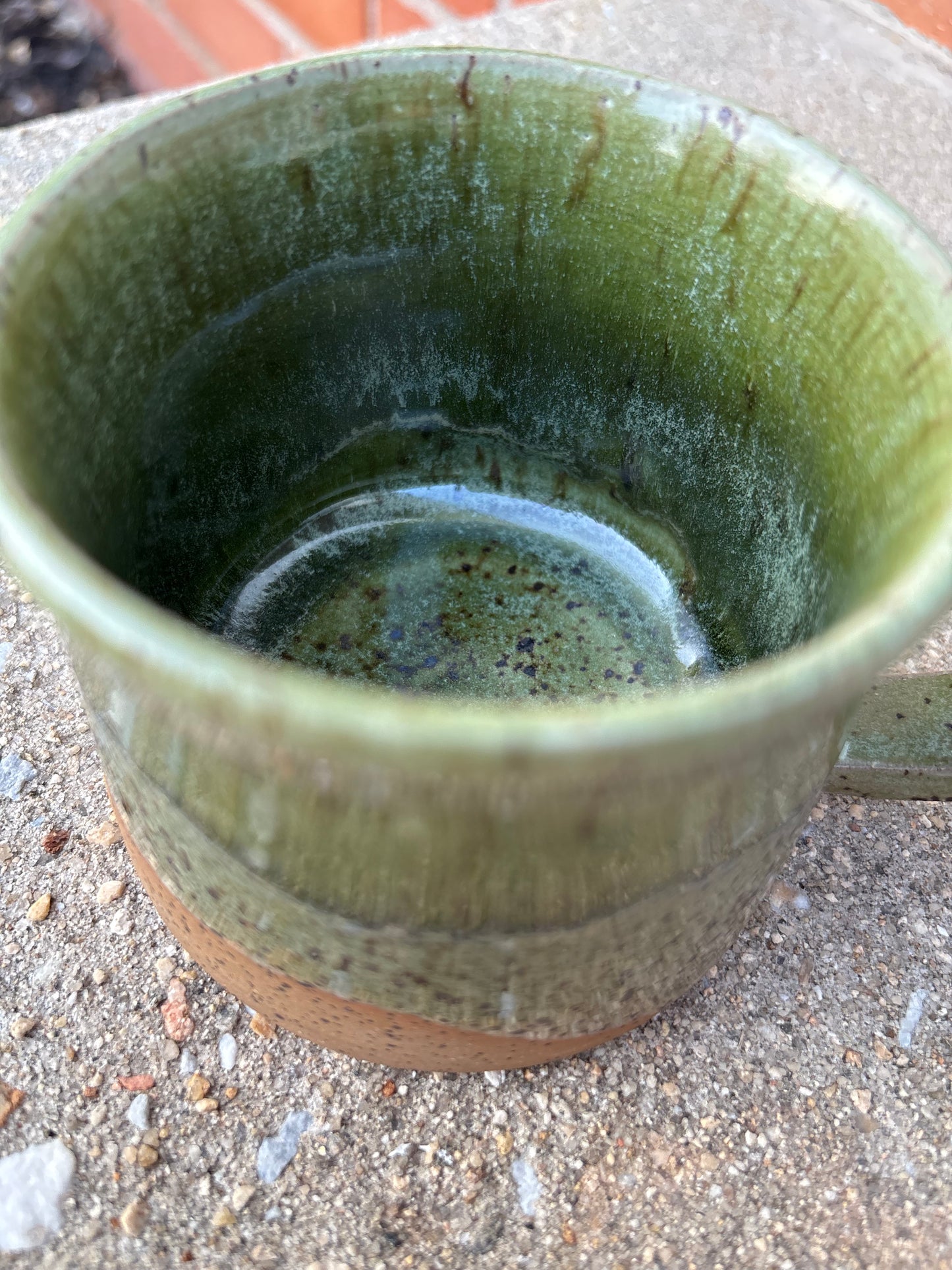 Green Brown Trout Mug
