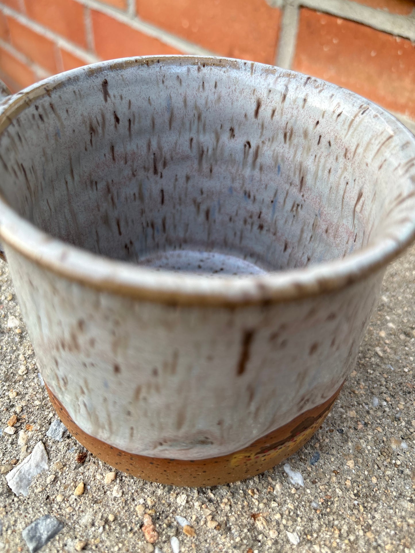 White Brown Trout Mug