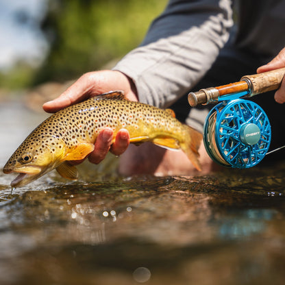 boost 325 fly reel Cheeky Burst 325 – Hendersonville Outfitters